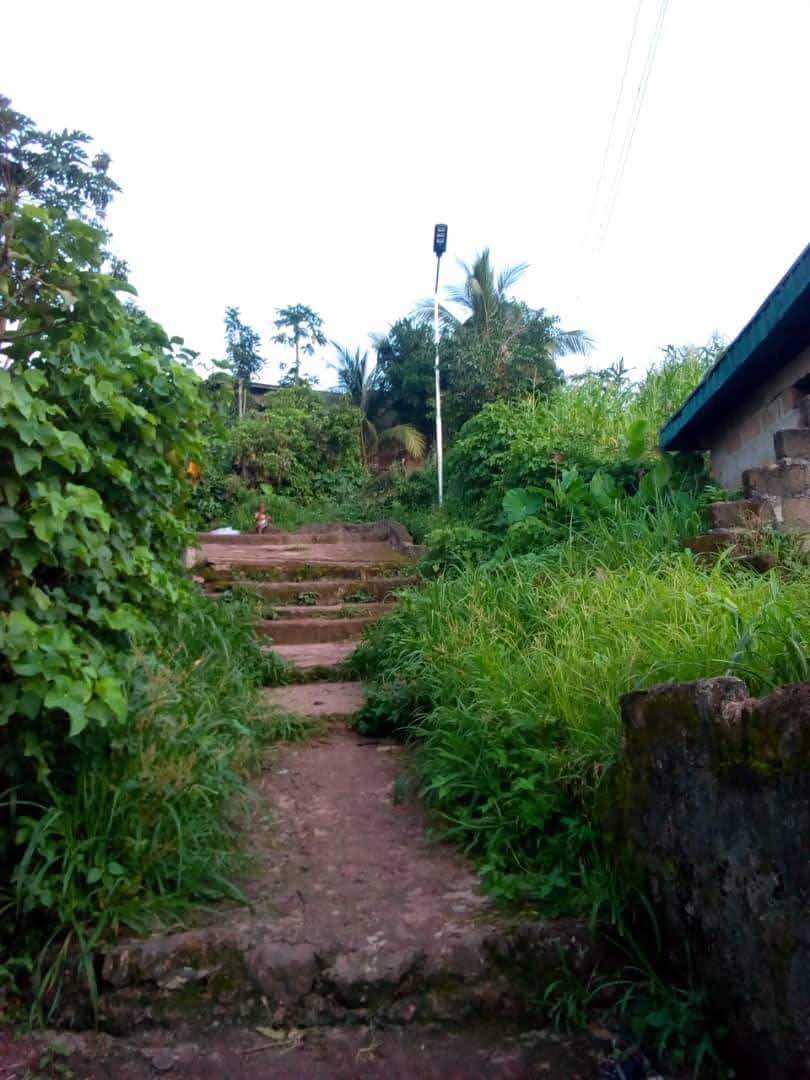 ibina after construction